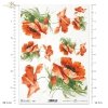 mak, maki, makowe, kwiat, łąka, ogród, lato, R954, poppy, flower, meadow, garden, summer, Mohn, Mohnblume, Blume, Wiese, Garten, Sommer, amapola, flor, prado, jardín, verano